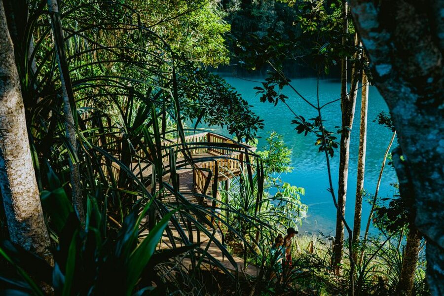 Cairns: Waterfall Tour with Lunch - Guide quality is the tour’s biggest strength