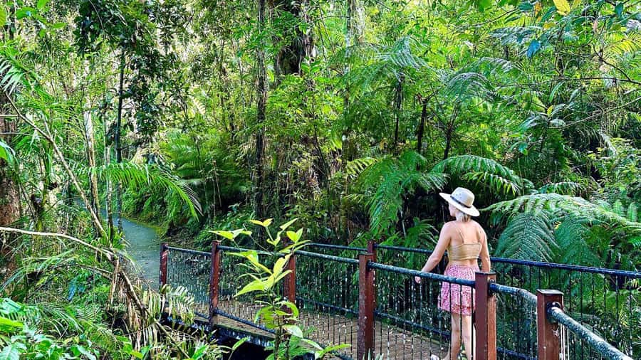 Cairns: Waterfall Tour with Lunch - Why the Atherton Tablelands make a good day trip from Cairns