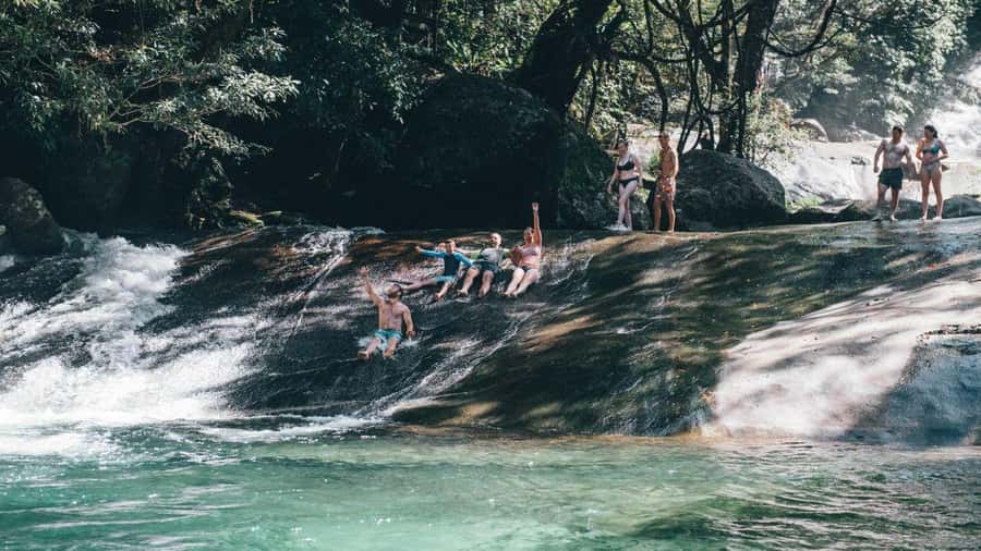 Cairns: Waterfall Tour with Lunch - Millaa Millaa Falls is the picture-book stop