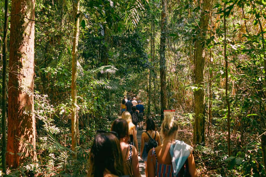 Cairns: Waterfall Tour with Lunch - Josephine Falls brings the fun
