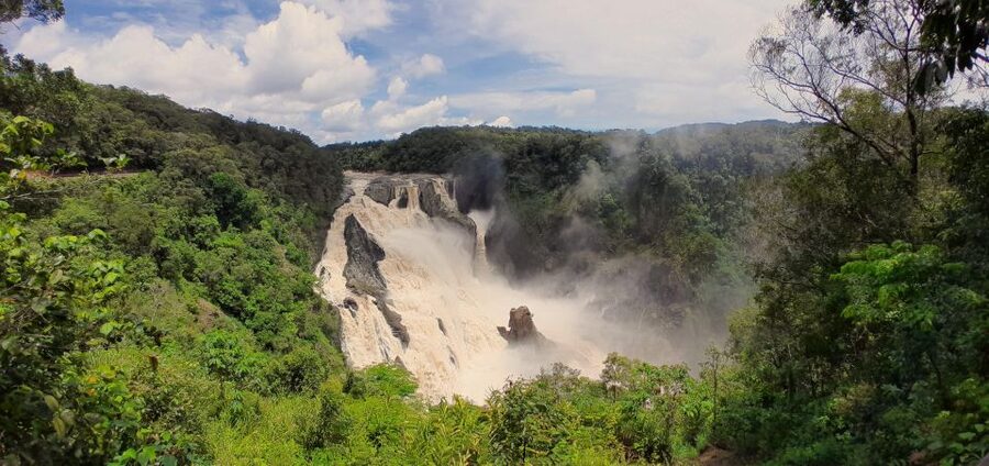 Cairns: Waterfall, Wetlands and Skyrail - Skyrail from Kuranda to Smithfield