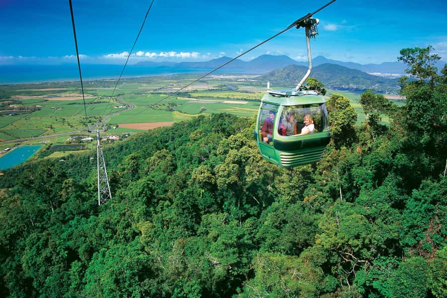 Cairns: Waterfall, Wetlands and Skyrail - Should you book the Cairns waterfall, wetlands, and Skyrail tour?