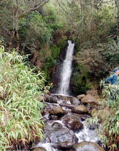 Cali: Cali River Waterfall and Great River Pools Tour