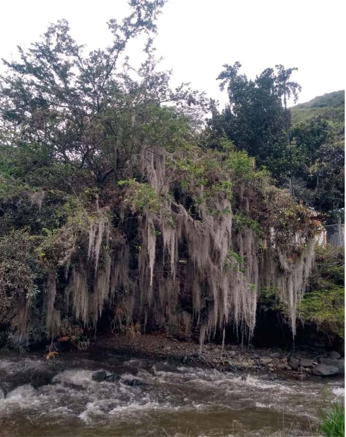 Cali: Cali River Waterfall and Great River Pools Tour - Is $50 a good value?