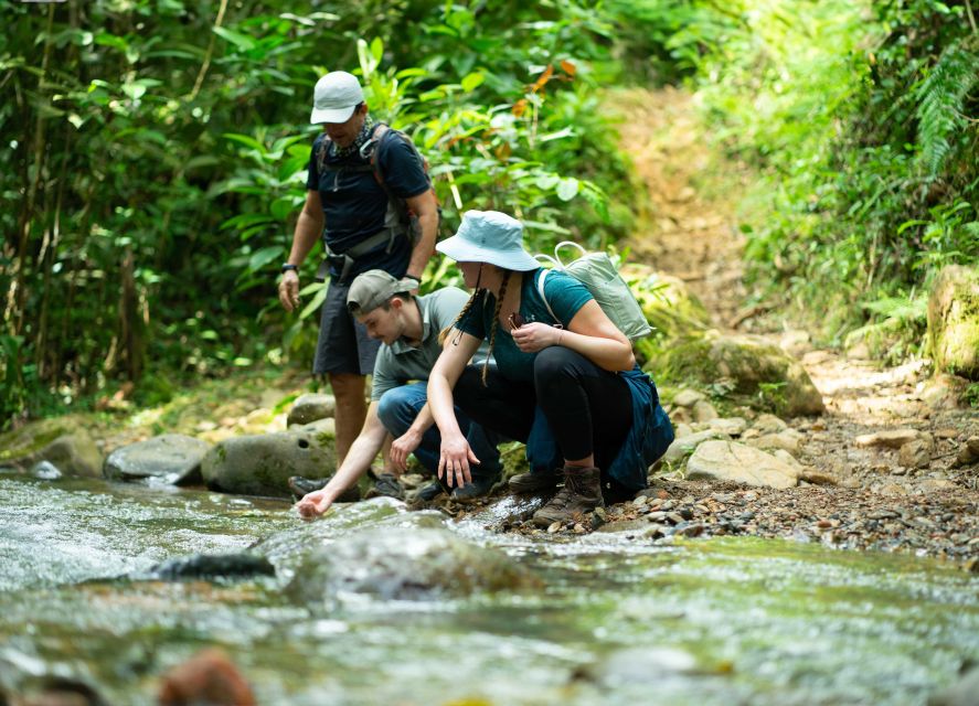 Cali: Hiking to the Pance waterfalls - Swimming under the forest canopy