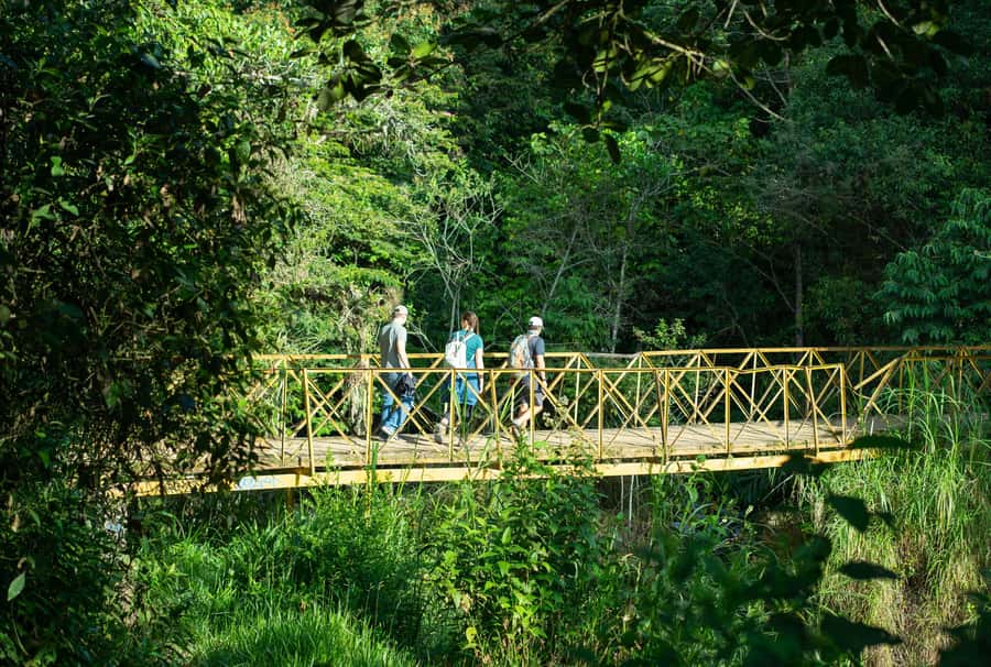 Cali: Hiking to the Pance waterfalls - The guides make a noticeable difference