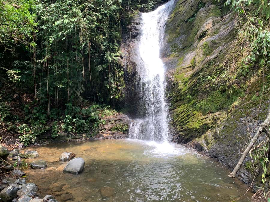 Cali: Tour of Waterfall in Pance River - Chorrera del Indio - The optional Pance Park stop