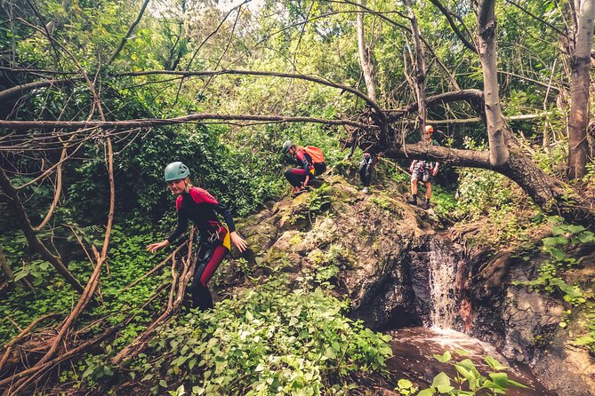 Canyoning with Waterfalls in the Rainforest - Small Groups ツ - What the $102 price includes