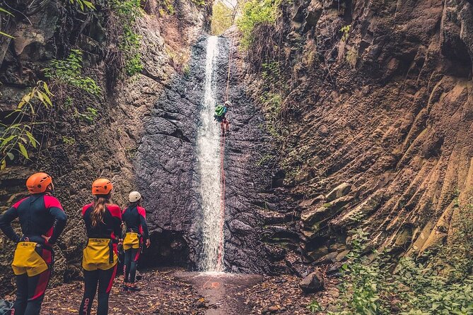 Canyoning with Waterfalls in the Rainforest - Small Groups ツ - The early pickup and long road into the forest