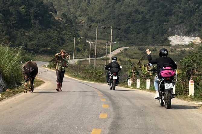 Cao Bang: Ban Gioc Waterfall Full-Day With Local Guide - Ma Phuc Pass and the first village roads