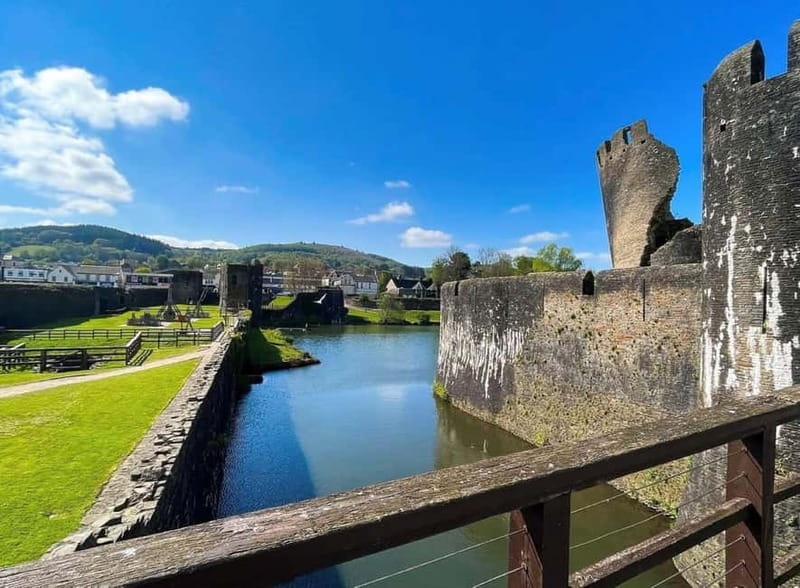 Cardiff: Waterfalls, Mountains & Castles Day Tour - The ancient yew tree near the mountain heart