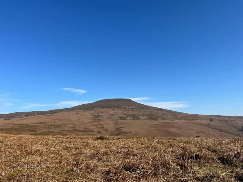 Cardiff: Waterfalls, Mountains & Castles Day Tour - The guide makes or breaks a busy day