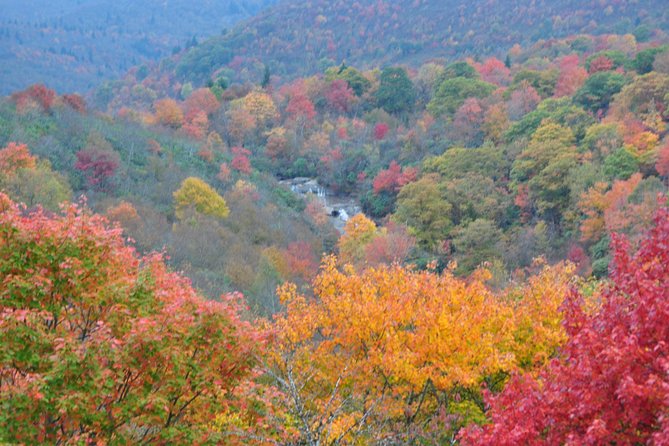 Carolina Waterfalls and Highlands Private VIP Boutique Tour - Cliffside Lake: the best pause in the middle