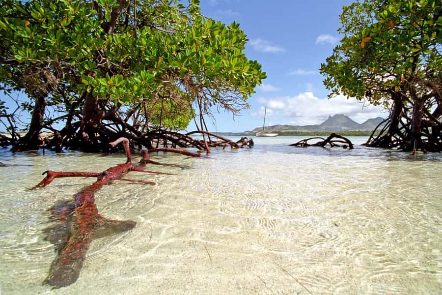 Catamaran Trip to Ile au Cerfs with Lunch and GRSE waterfall - Ile aux Cerfs: beach time after lunch