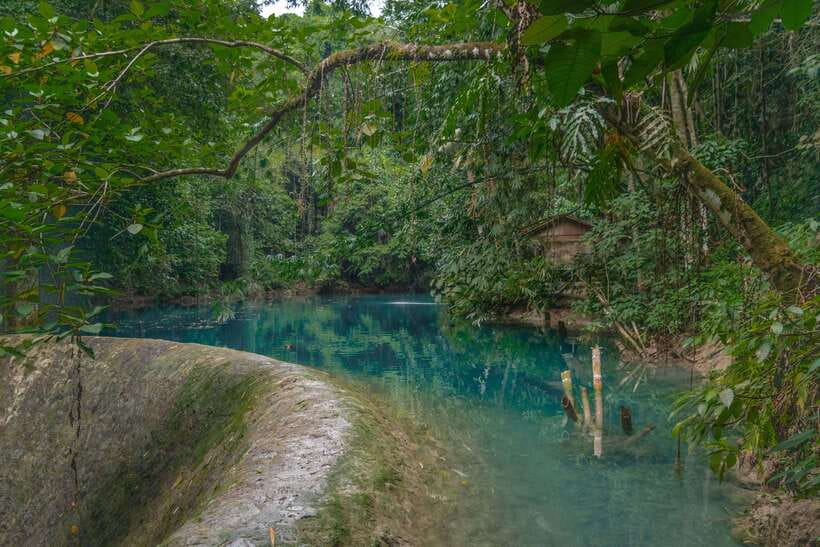 Cebu: Kawasan Falls Canyoneering & Cliff Jump Private Tour - Kawasan Falls and the lunch break