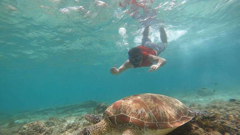 Cebu: Moalboal Island Hopping and Mantayupan Falls Day Trip - FAQ