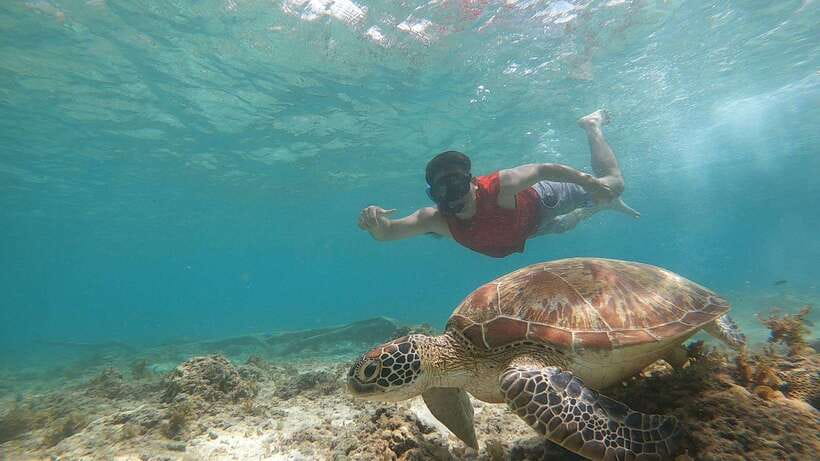 Cebu: Moalboal Island Hopping and Mantayupan Falls Day Trip - Should you book it?