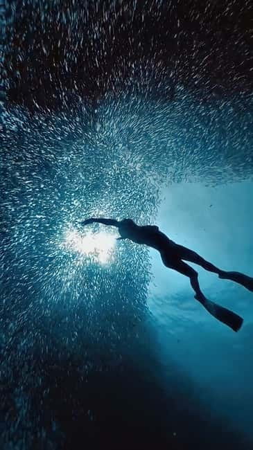 Cebu: Moalboal Sardine Run & Kawasan Falls Canyoneering - Key details to know before booking