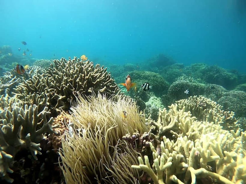 Cebu: Moalboal Snorkeling, Mantayupan Falls & ATV Adventure - Mantayupan Falls and the reality of changing water rules
