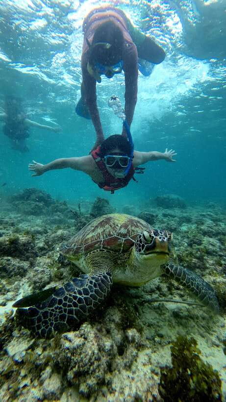Cebu: Moalboal Snorkeling, Mantayupan Falls & ATV Adventure - Transport, guides, and what the $117 covers