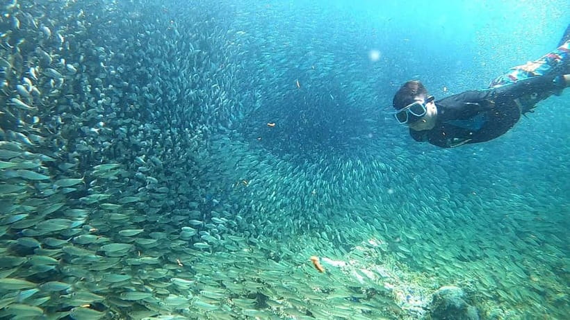 Cebu: Moalboal Snorkeling, Mantayupan Falls & ATV Adventure - What to pack for a smoother day