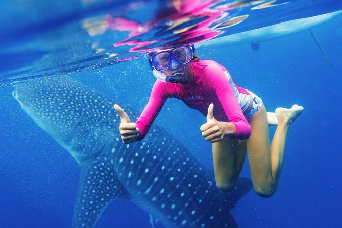Cebu: Oslob Whale Shark Swimming and Kawasan Falls Canyoneering - Oslob whale sharks: thrilling, brief, and busy