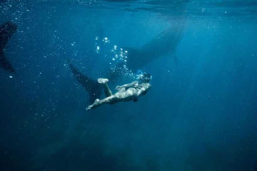 Cebu: Oslob Whale Shark Swimming and Tumalog Falls Tour - Tumalog Falls brings welcome quiet