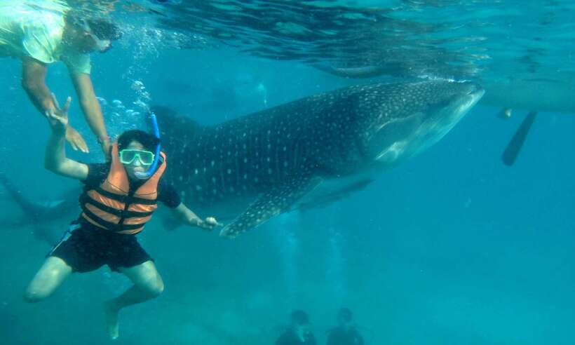 Cebu: Oslob Whale Sharks, Tumalog Falls & Sardine Snorkeling - Tumalog Falls brings a welcome change