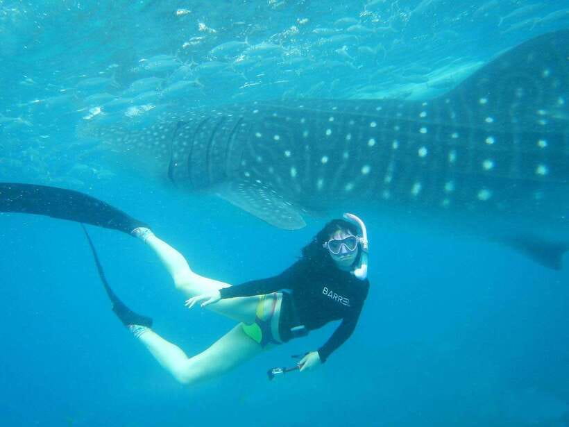 Cebu: Oslob Whale Sharks, Tumalog Falls & Sardine Snorkeling - The 2:00 AM pickup and the long southern drive