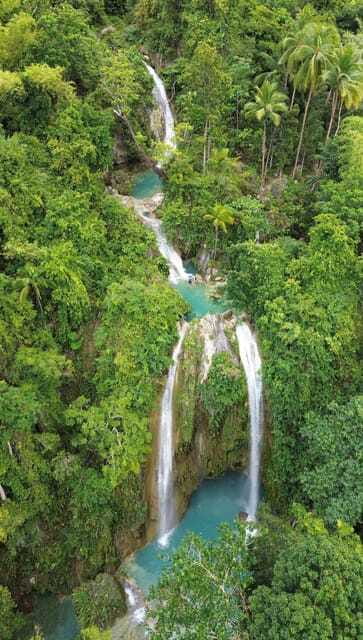 Cebu Oslob Whaleshark, Moalboal Sardines Run&Inambakan Falls - Moalboal’s sardine run and possible turtles