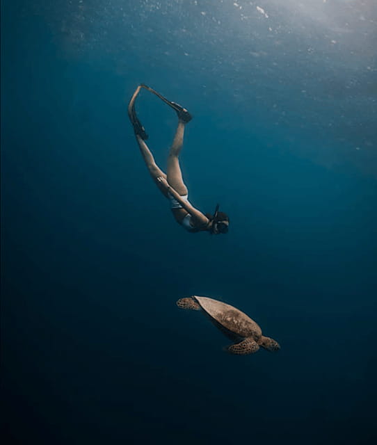 Cebu Oslob Whaleshark, Moalboal Sardines Run&Inambakan Falls - The guide can shape the whole day