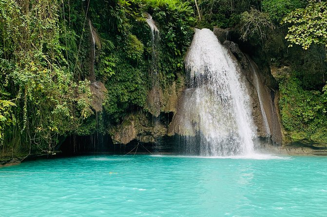 Cebu Oslob Whalesharks, Sumilon & Kawasan Waterfalls Tour - Oslob whale sharks: the day’s biggest draw