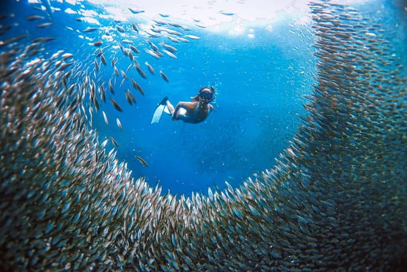 Cebu: Sardine Run Snorkeling, Mantayupan Falls & ATV Thrills - Mantayupan Falls and its two levels