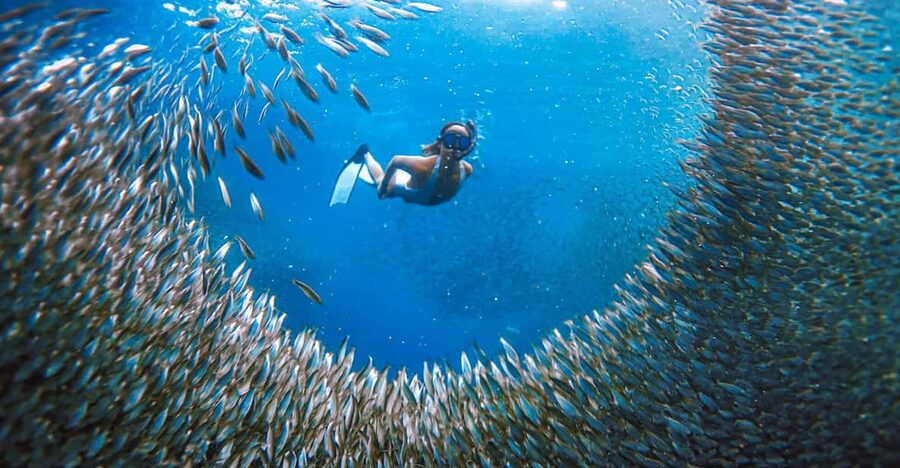 Cebu: Sardine Run Snorkeling, Mantayupan Falls & ATV Thrills - The road time and pickup question