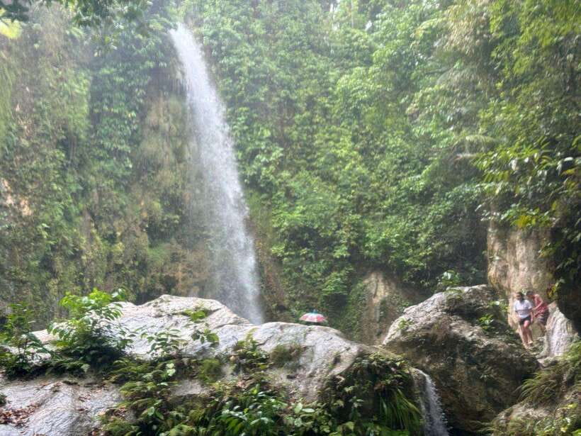 Cebu: Whale Shark, Inambakan Falls & Moalboal Sardine Tour - The five details that matter most