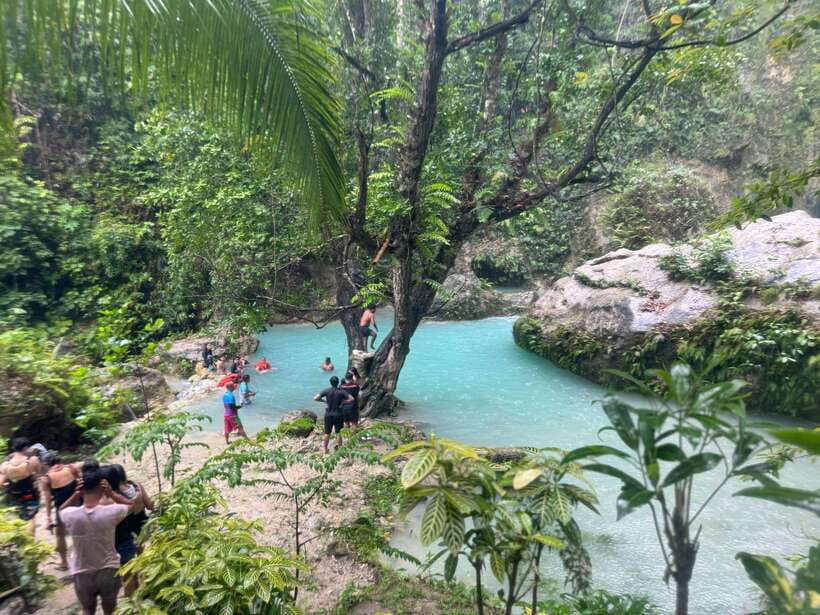 Cebu: Whale Shark, Inambakan Falls & Moalboal Sardine Tour - Why this Cebu day is so appealing