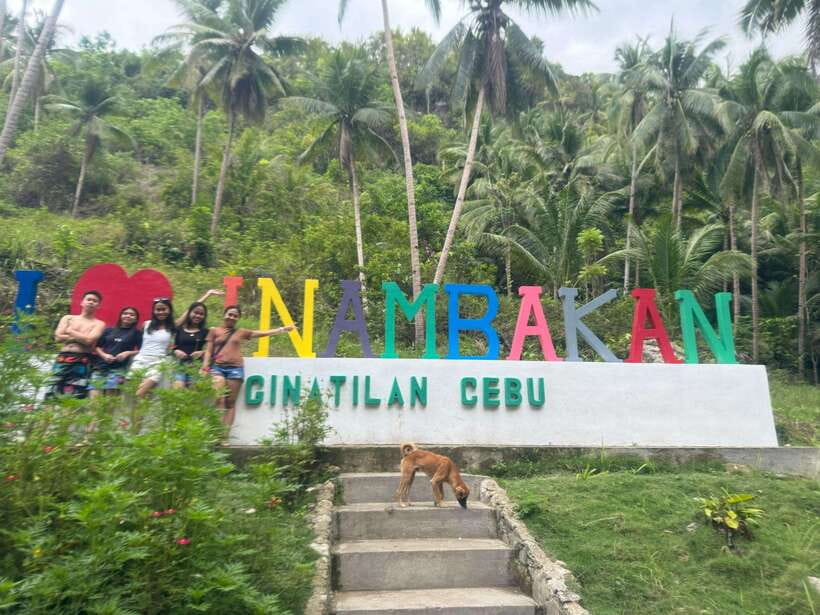 Cebu: Whale Shark, Inambakan Falls & Moalboal Sardine Tour - Swimming with Oslob’s whale sharks