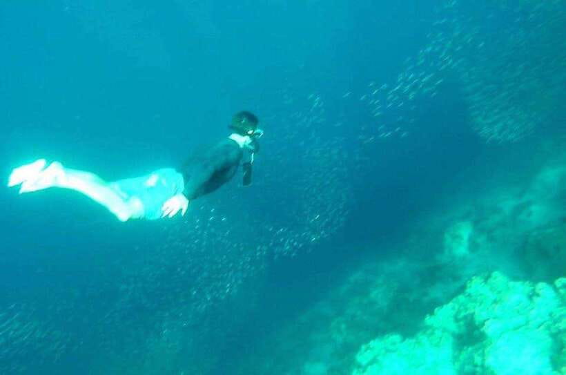 Cebu: Whale Shark, Inambakan Falls & Moalboal Sardine Tour - Moalboal and the famous sardine run