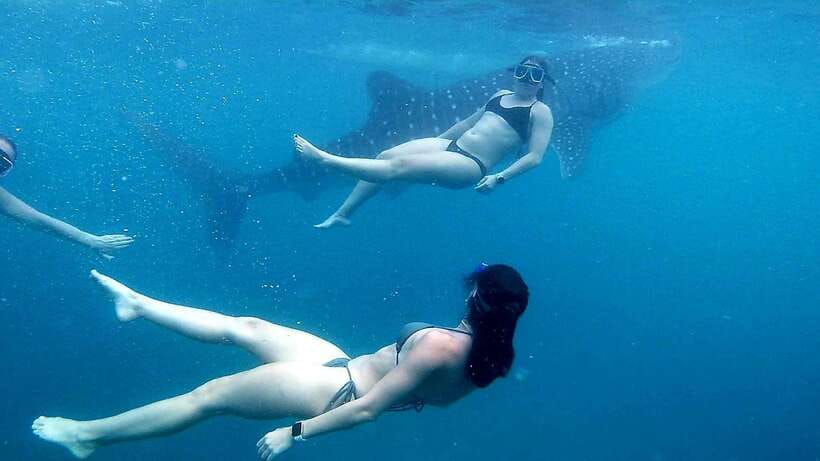 Cebu: Whale Shark Swim, Kawasan Falls & Moalboal Sardine Run - Kawasan Falls: a scenic break with a real walk