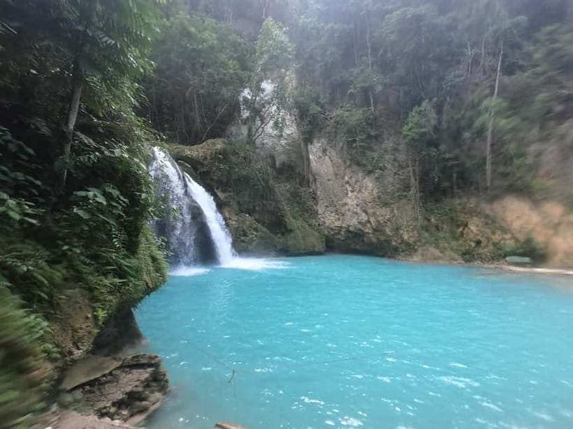 Cebu: Whale Sharks, Kawasan Falls, & Sardines Run Snorkeling - What you are really buying for $135