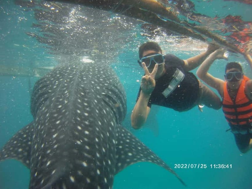 Cebu: Whale Sharks, Kawasan Falls, & Sardines Run Snorkeling - Kawasan Falls and the difference between swimming and canyoneering