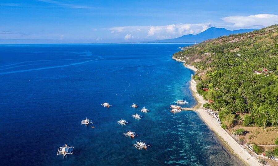 Cebu: Whale Sharks, Tumalog Falls, and Monkey Sanctuary Tour - What the $121 price really covers