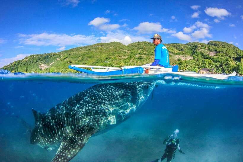 Cebu: Whale Sharks, Tumalog Falls, and Monkey Sanctuary Tour - The early road to Oslob