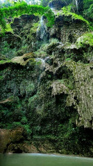 Cebu: Whaleshark Encounter, Sumilon Sandbar & Tumalog Falls - Tumalog Falls and the rainforest setting