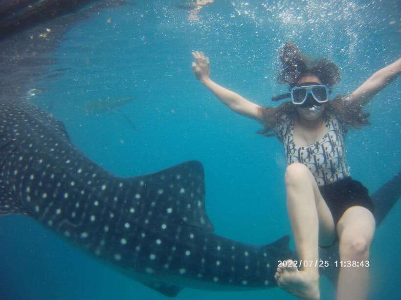 Cebu: Whaleshark Encounter, Tumalog Falls & Sumilon Sandbar - Breakfast, then a change of pace at Sumilon