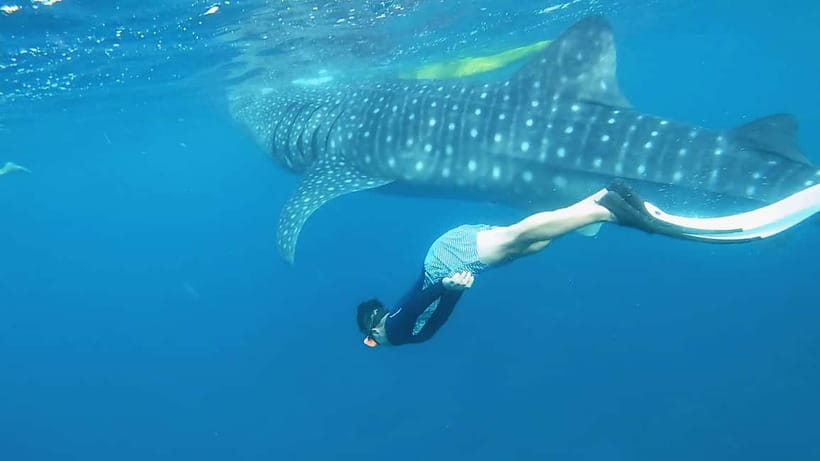 Cebu: Whaleshark Swimming & Kawasan falls Canyoneering Tour - The ride to Badian and canyon briefing
