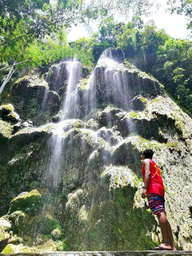 Cebu: WhaleShark , Tumalog Falls, & Sardine Run Snorkeling - The Driver and Guide Can Shape the Day