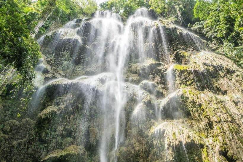 Cebu: WhaleShark , Tumalog Falls, & Sardine Run Snorkeling - What to Bring for the Three Water Stops