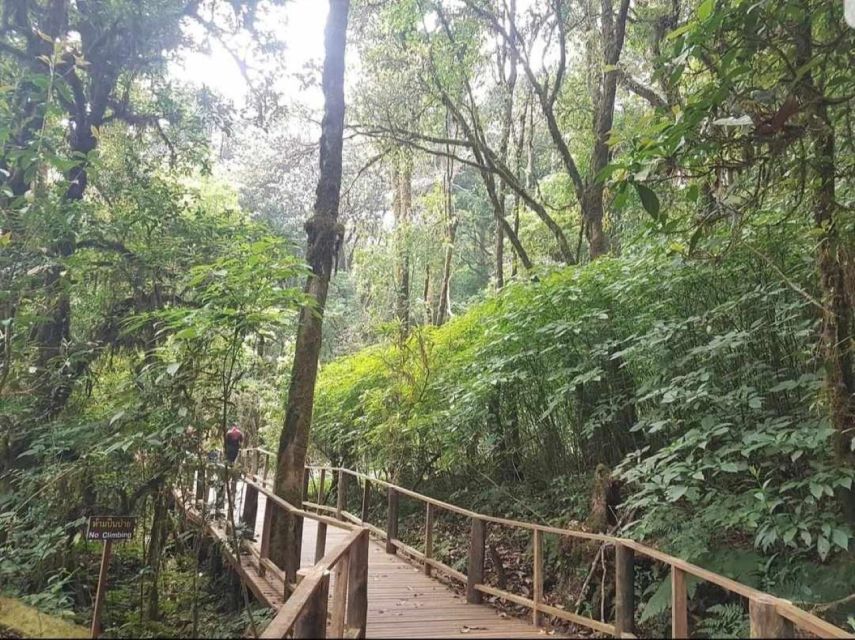 Chang Mai: Doi Inthanon Day Tour w/Waterfalls & Hilltribes - Thailand’s highest point and the Ang Ka trail
