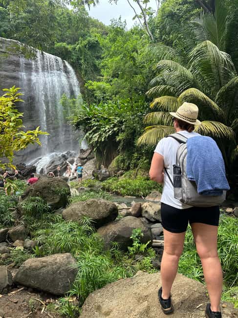 Chasing Waterfalls Grenada: Unveiling Nature’s Hidden Gems - Annandale Falls: an easy first taste of the rainforest